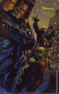 Teenage Mutant Ninja Turtles (2011 IDW) 100BLACKFLAG