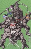 Teenage Mutant Ninja Turtles (2024 IDW) Box Set SET
