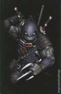 Teenage Mutant Ninja Turtles the Last Ronin the Lost Years (2022 IDW) 4JOLZAR