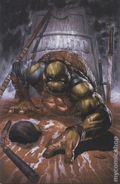 Teenage Mutant Ninja Turtles the Last Ronin (2020 IDW) 1CKOC.A