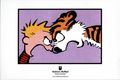 Calvin And Hobbes Portable Compendium TPB (2023 Andrews McMeel) SET-4