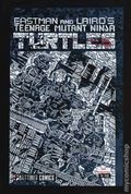 Teenage Mutant Ninja Turtles (2020 IDW) #1 Reprint 1SHATTERED.C