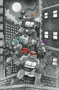 Teenage Mutant Ninja Turtles (2024 IDW) 6PCB.B