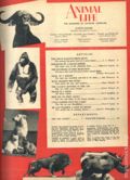 Animal Life Magazine (1953 Animal Life Publications) Vol. 1 #8
