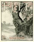 Life (1883-2000 Clair Maxwell/Life Publishing Company) Magazine May 26 1904