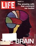 Life (1883-2000 Clair Maxwell/Life Publishing Company) Magazine Oct 22 1971