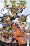 Teenage Mutant Ninja Turtles X Naruto (2024 IDW) 4D