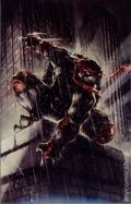 Teenage Mutant Ninja Turtles (2024 IDW) 1TAO