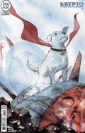 Krypto the Last Dog of Krypton (2025 DC) 1B