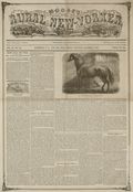 Rural New Yorker (1850 - 1964 Rural Publishing Co.) Vol. 11 #48