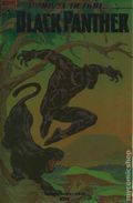 Marvel Action Black Panther (2018 IDW) 1RID