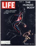 Life (1883-2000 Clair Maxwell/Life Publishing Company) Magazine Dec  7 1962