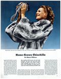 Collier's (1888-1957 Crowell-Collier Publishing) Magazine Nov 25 1939