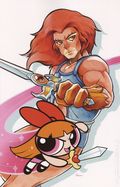 Thundercats Powerpuff Girls (2025 Dynamite) 1J