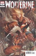 Wolverine (2024 Marvel) 11C
