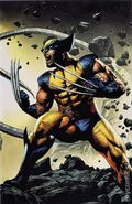 Wolverine Revenge (2024 Marvel) 4.RB.ILLUMINATI.B