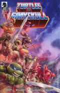 Masters of the Universe Teenage Mutant Ninja Turtles: Turtles of Grayskull (2024 Dark Horse) 4C
