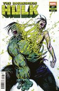 Incredible Hulk (2023 Marvel) 27C