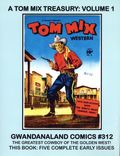 Gwandanaland Comics SC (2016 Gwandanaland) 312-1ST