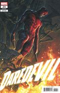 Daredevil (2023 Marvel) 24C