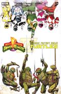 Mighty Morphin Power Rangers Teenage Mutant Ninja Turtles III (2025 Boom) 1N