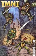 Teenage Mutant Ninja Turtles Journeys (2025 IDW) 1B