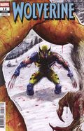 Wolverine (2024 Marvel) 12C
