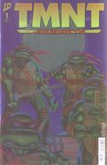 Teenage Mutant Ninja Turtles Journeys (2025 IDW) 1RI
