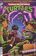 Teenage Mutant Ninja Turtles Saturday Morning Adventures (2023 IDW) 28C