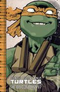 Teenage Mutant Ninja Turtles The IDW Collection TPB (2022 IDW) 7-1ST