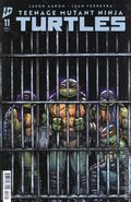 Teenage Mutant Ninja Turtles (2024 IDW) 11B