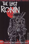 Teenage Mutant Ninja Turtles the Last Ronin (2020 IDW) 1SHATTERED.B