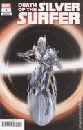 Death of the Silver Surfer (2025 Marvel) 4C