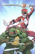 Mighty Morphin Power Rangers Teenage Mutant Ninja Turtles III (2025 Boom) 2L