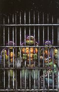 Teenage Mutant Ninja Turtles (2024 IDW) 11RIA