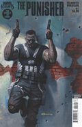 Marvel Knights Punisher (2025 Marvel) 1D