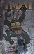 Teenage Mutant Ninja Turtles Journeys (2025 IDW) 2RI