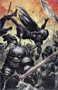 Teenage Mutant Ninja Turtles the Last Ronin (2020 IDW) 5KEFC.B