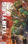 Teenage Mutant Ninja Turtles (2024 IDW) 12D