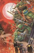 Teenage Mutant Ninja Turtles (2024 IDW) 12RIC