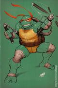 Teenage Mutant Ninja Turtles (2024 IDW) 2UNKNOWN