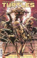 Teenage Mutant Ninja Turtles (2024 IDW) Annual 2025B