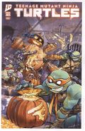 Teenage Mutant Ninja Turtles (2024 IDW) Annual 2025C