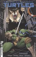 Teenage Mutant Ninja Turtles (2024 IDW) Annual 2025RIA