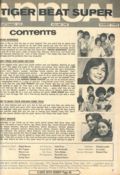 Tiger Beat Super Annual (1970 Laufer Co.) Magazine 3