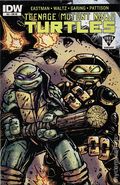 Teenage Mutant Ninja Turtles (2011 IDW) 51FRIEDPIE