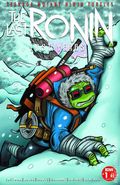 Teenage Mutant Ninja Turtles the Last Ronin the Lost Years (2022 IDW) 1JETPACK.A