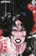 Absolute Wonder Woman (2024 DC) 14D