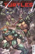 Teenage Mutant Ninja Turtles (2024 IDW) 13A
