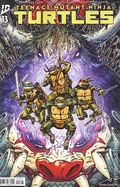 Teenage Mutant Ninja Turtles (2024 IDW) 13B